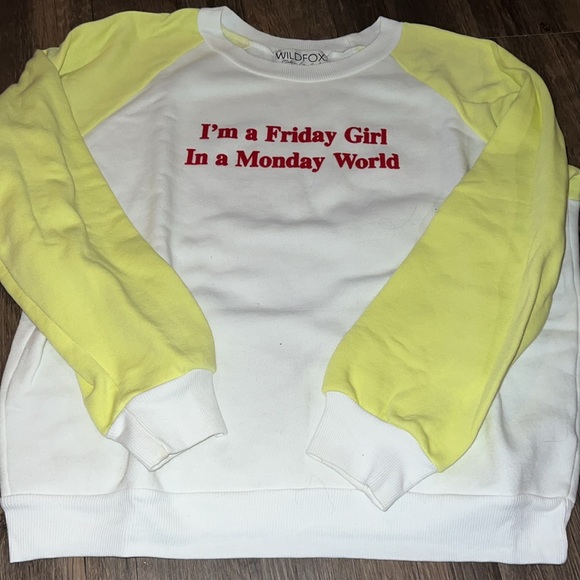 BNWOT Wildfox Size Large Crewneck Sweatshirt - Picture 3 of 4